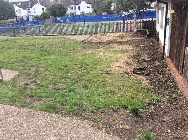 purley news 2